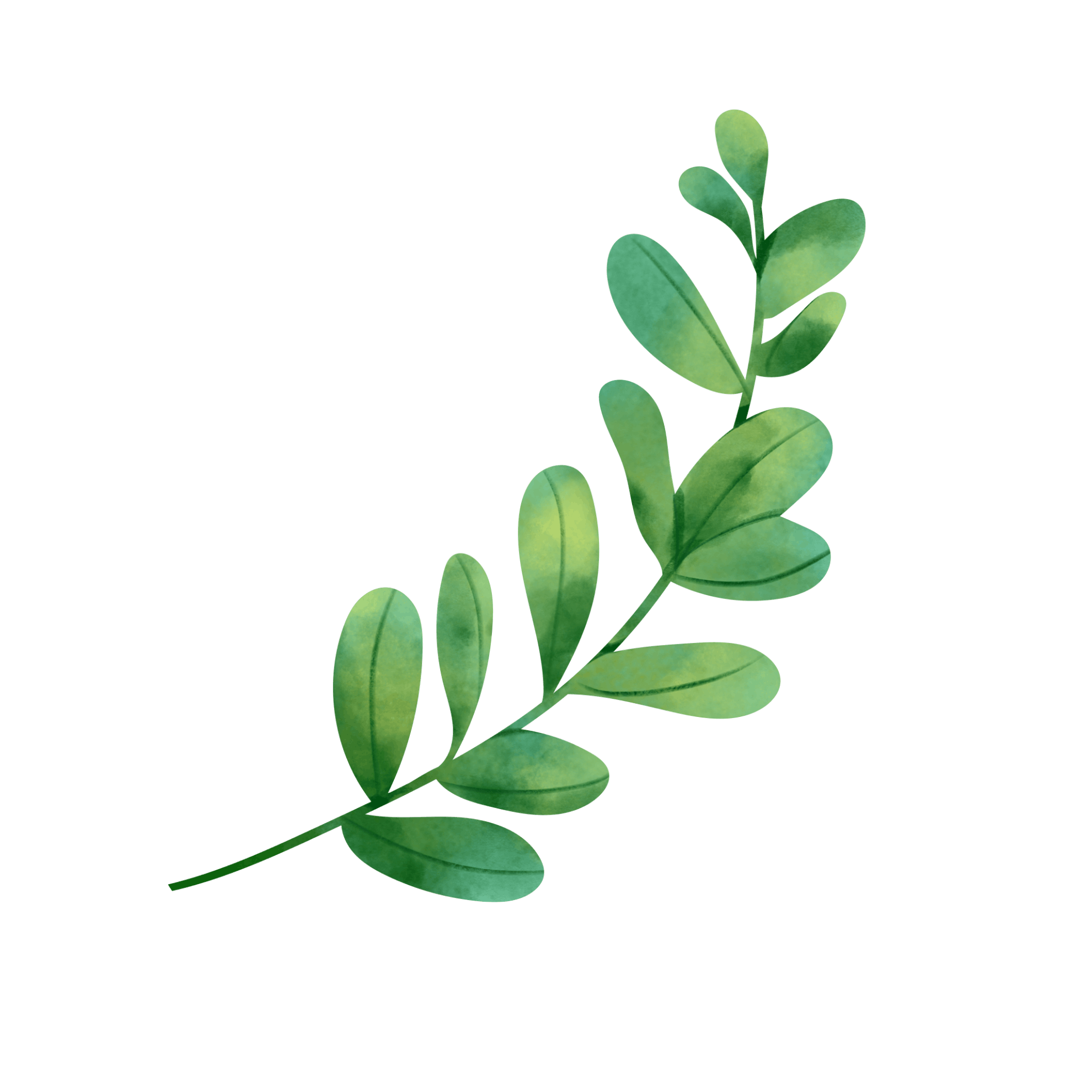 رویش