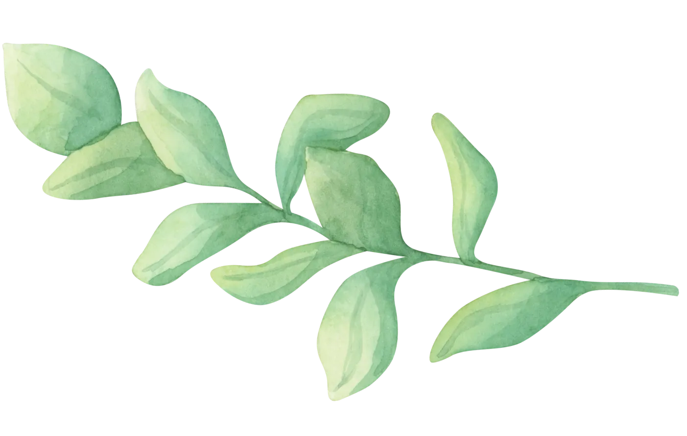 برگ تزئینی